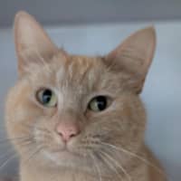 Photo of Miss Michael