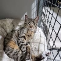 Photo of Marble