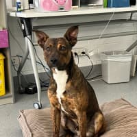 Photo of Toohey! 🍻