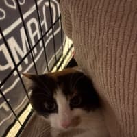 Photo of Margarita