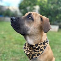 Photo of Liam O’cleary