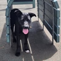 Photo of Cash