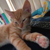 Photo of Buddy & Squeak