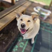 Photo of Rocco