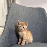 Photo of Spud & Squid