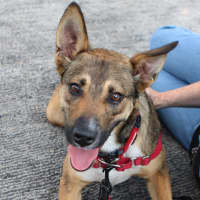 Photo of Ripley
