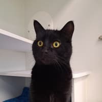 Photo of Tank