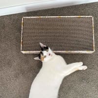 Photo of Yumi