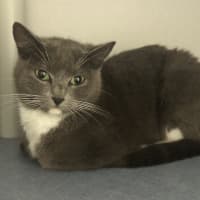 Photo of Zoe