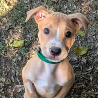 Photo of Wilma