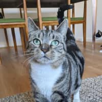 Photo of Oreo & Elisha 