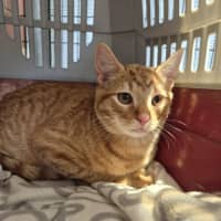 Photo of Monkey! 🦧 