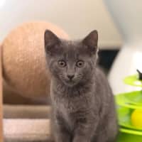 Photo of Rocket