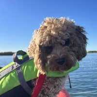 Photo of Winnie