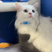 Photo of Penelope