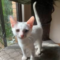 Photo of Ace 🤍🐻‍❄️🐻‍❄️