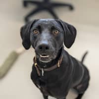 Photo of 🍁 Lucy 5575 🍁