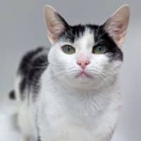 Photo of Maggie