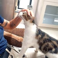 Photo of April (9172)