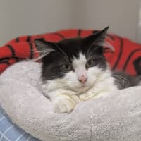 Photo of 🦄 Puurl 6332 🦄