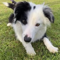 Photo of Billie