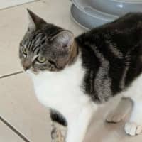 Photo of Jemima