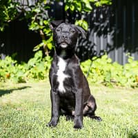 Photo of Lumen