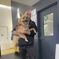 Photo of Ace