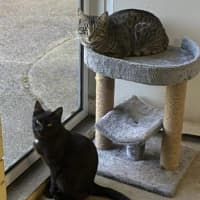 Photo of Augustus & Douglas 