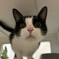 Photo of Princess Pearl