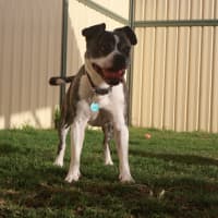 Photo of Bug