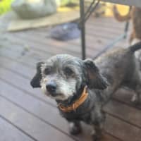 Photo of Mopsey & Topsey