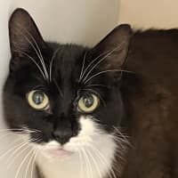 Photo of Evie Dwelly