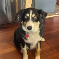 Photo of Flossie