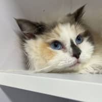 Photo of Marjorie