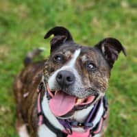 Photo of 🌷 Bonnie 5211 🌷