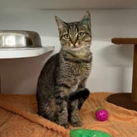 Photo of Boo