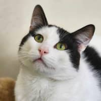 Photo of 🧃 Ian 5627 🧃