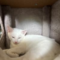 Photo of The Whities! 