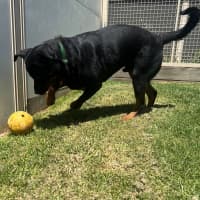Photo of Axel