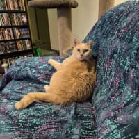 Photo of Phoebe