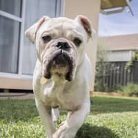 Photo of Stormin Normin