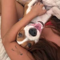 Photo of Nala