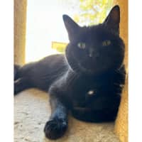 Photo of 10676   Leeroy