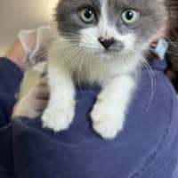 Photo of Marmite