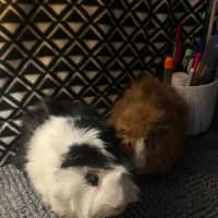 Photo of Cruise & Miles