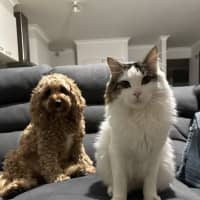 Photo of Nori & Nina