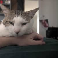 Photo of Molly / Milly