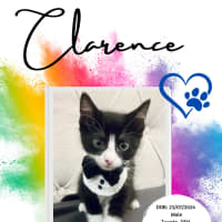 Photo of Clarence