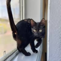 Photo of Minky